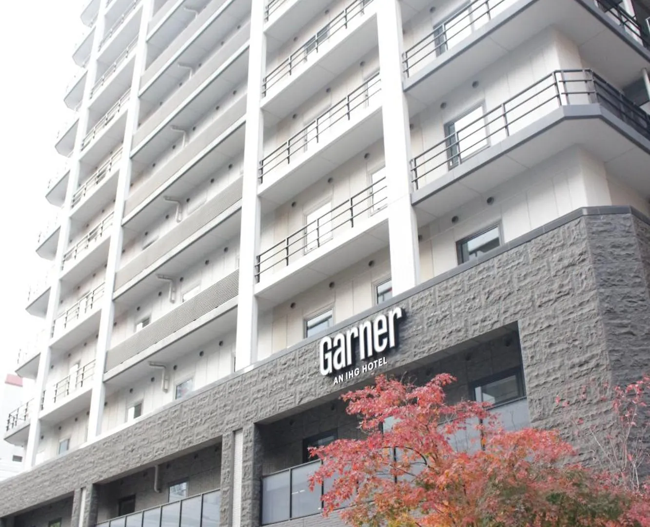 Garner Hotel Osaka Honmachi Station By Ihg