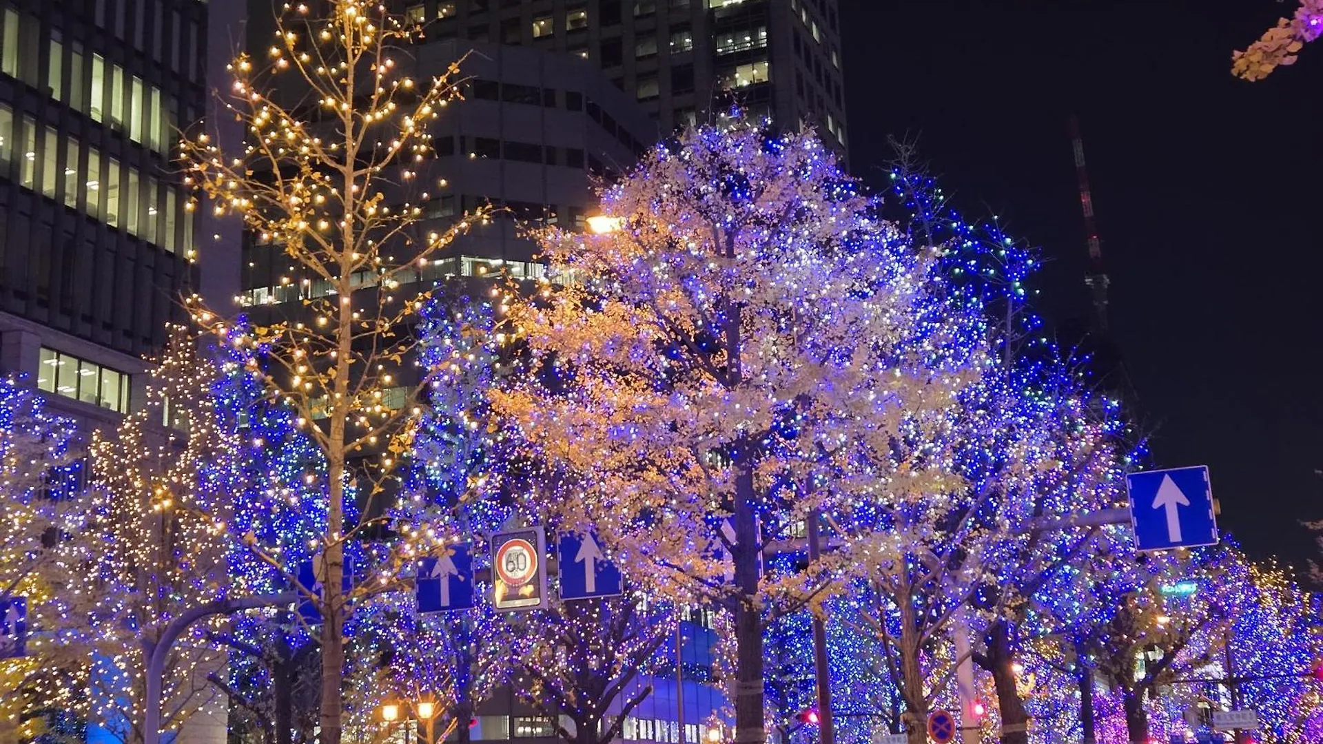 Garner Hotel Osaka Honmachi Station By Ihg 3*,